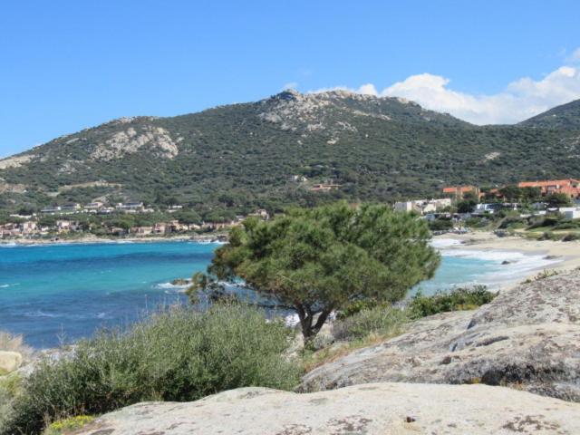 T2 Renove 100M Plage Avec Spa Privatif Entre Calvi Et Ile Rousse Лумйо Екстер'єр фото